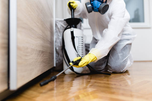 Best Pest Inspection Near Me  in New Sarpy, LA