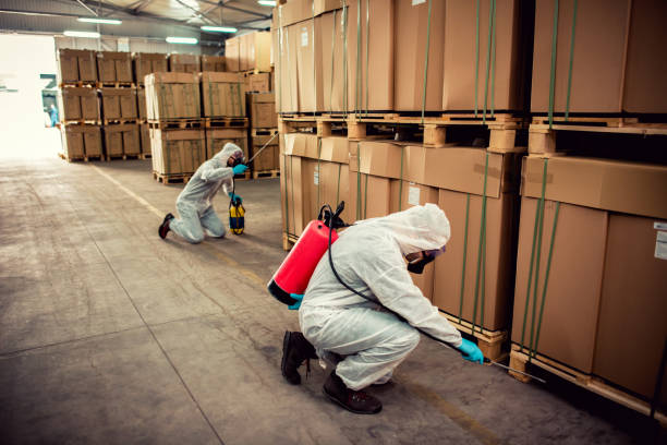 Best Pest Inspection Near Me  in New Sarpy, LA