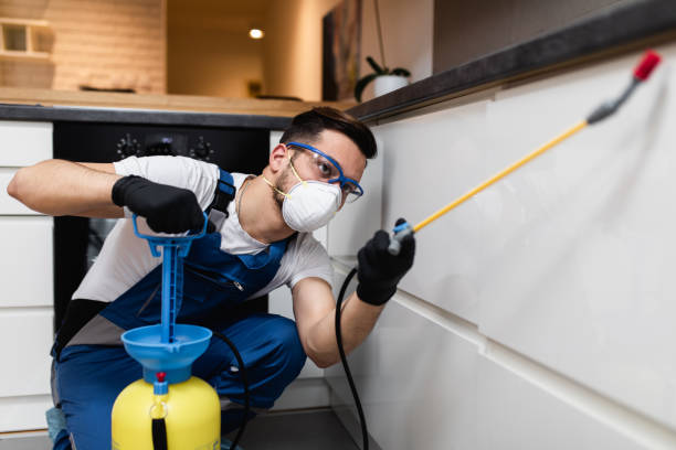 Pest Prevention Services in New Sarpy, LA