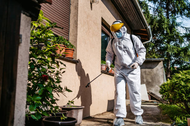 Best Rat Extermination Near Me  in New Sarpy, LA