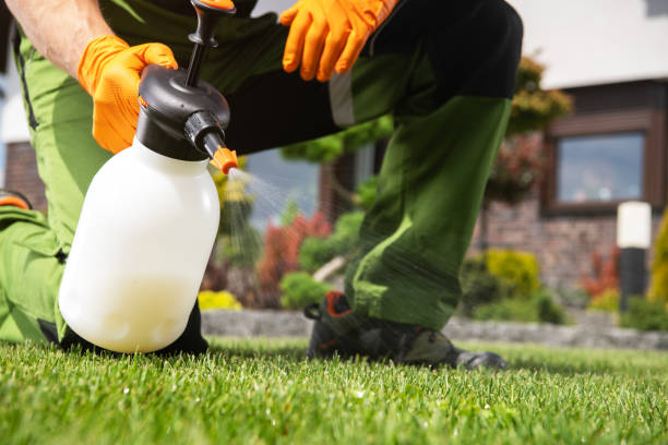 Pest Control Cost in New Sarpy, LA