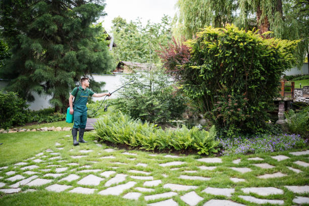 Professional Pest Control in New Sarpy, LA
