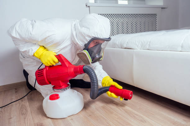 Wasp Removal Services in New Sarpy, LA