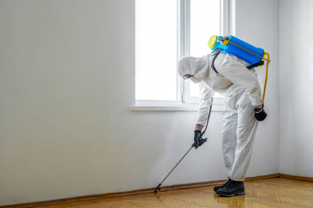 Best Pest Removal Services  in New Sarpy, LA