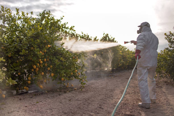  New Sarpy, LA Pest Control Pros