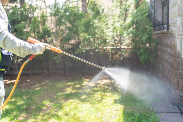 Best Spider Control Near Me  in New Sarpy, LA