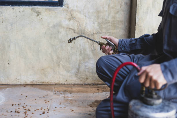 Best Mosquito Control Services  in New Sarpy, LA